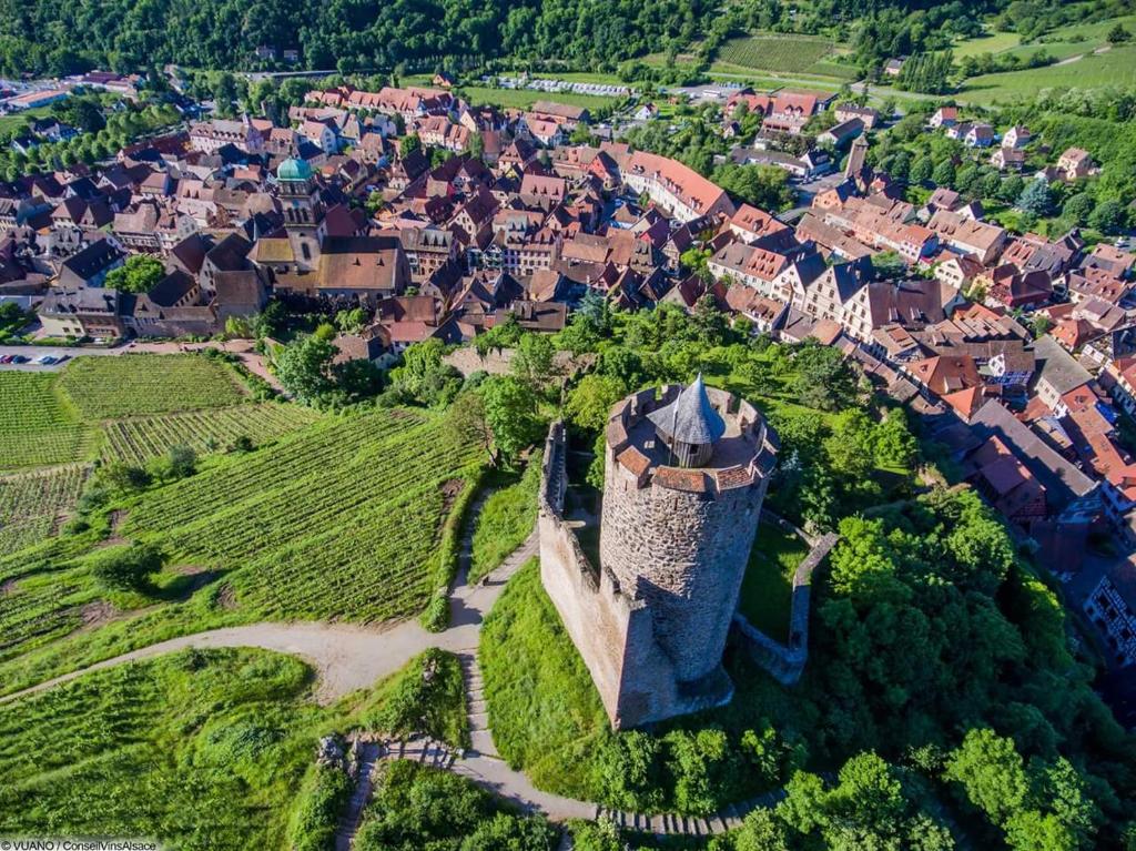 Kaysersberg Castle — Aerial view
